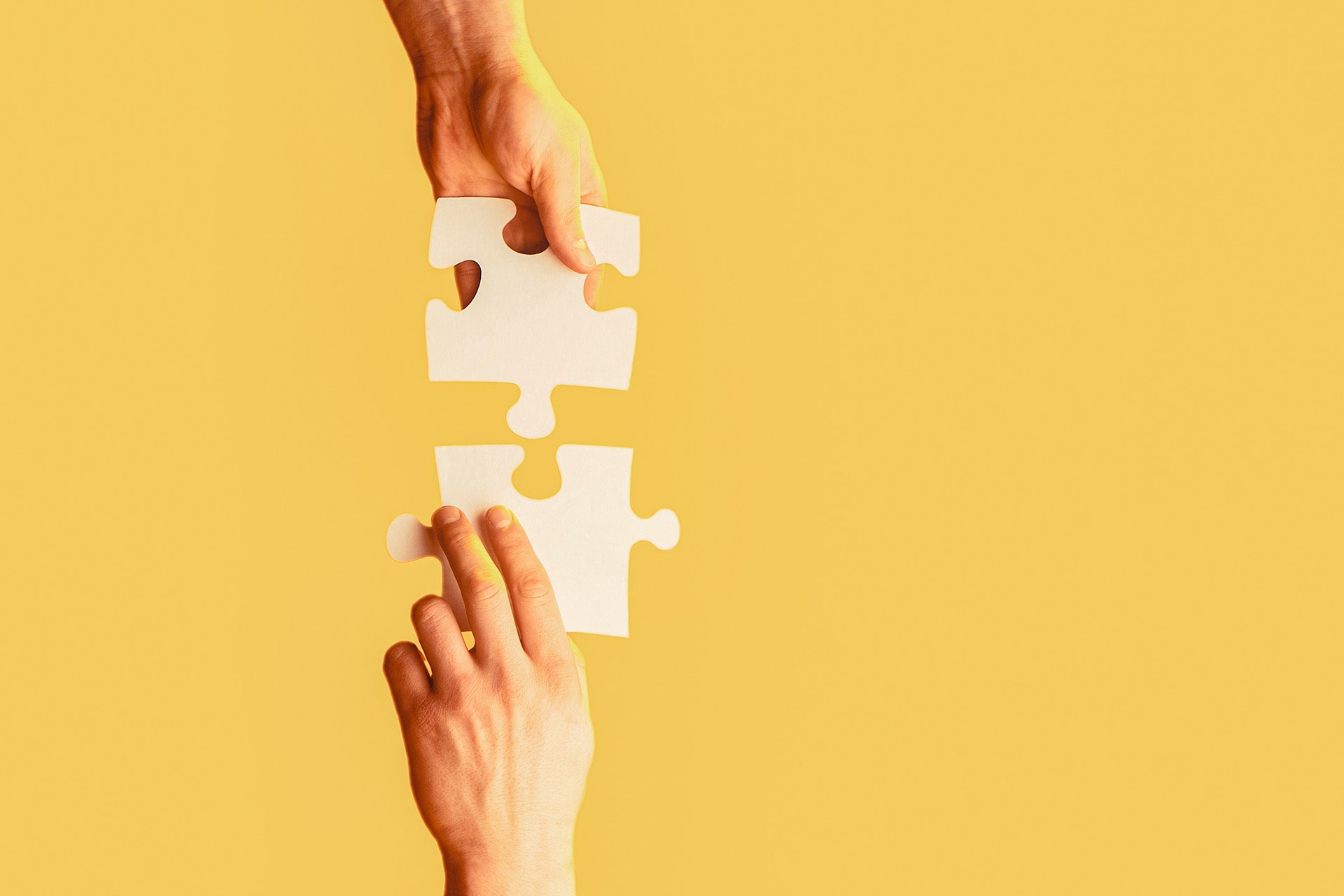 Partnership 02 Apply